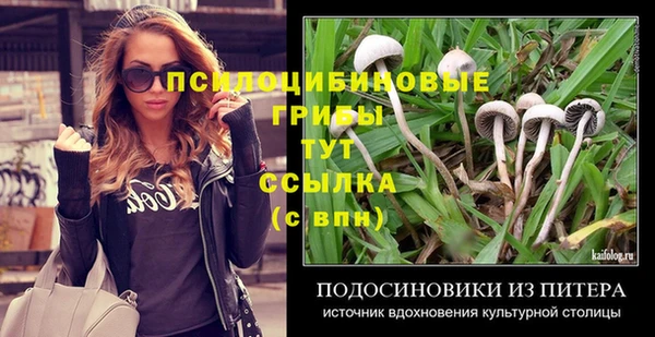 сатива Бугульма