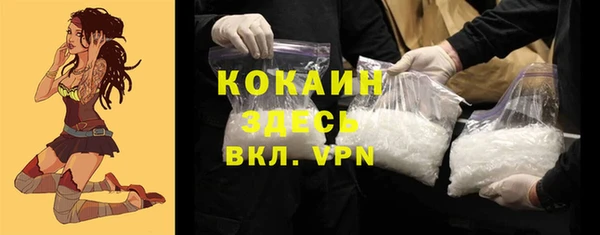 apvp Бородино