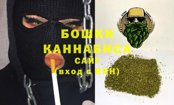 apvp Бородино