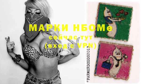 apvp Бородино