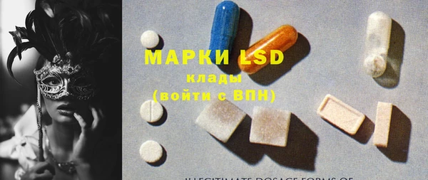 apvp Бородино