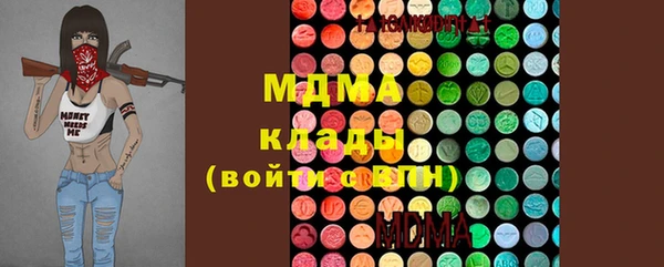 apvp Бородино